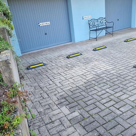 Miu'S Ferienwohnung Alpirsbach Exterior foto